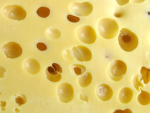 Korka Apelsina