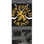 Lions hockey