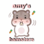 Amy’s Hamsters <3