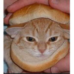 Manyakkedyler