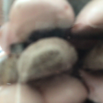 WeirddIvyy's Group