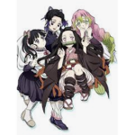 I like Anime and I cannot lie