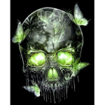 SCY SKULL