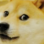 the doge kings and queens