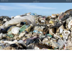 trashy kingdom!