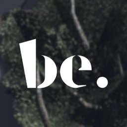 The Bernardinus Experience (BETA)