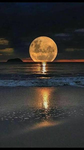 MOONLIT official