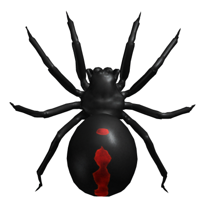 Black Widow Spider - On Face