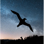 AirSocietyy
