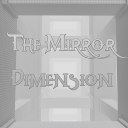 The Mirror Dimension