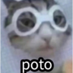 Masters :v