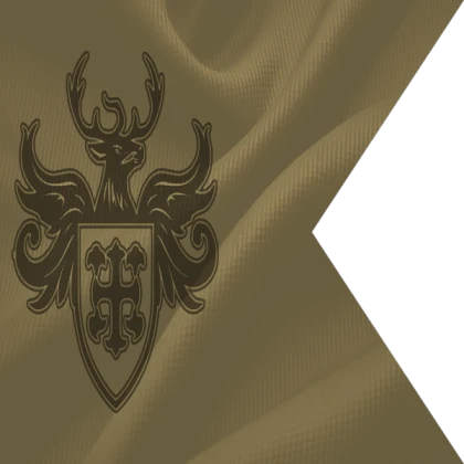 custom flag