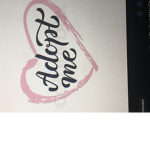 Molls Adopt me giveaways!