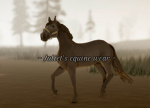 juliets equine wear