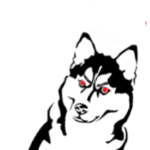 The Huskies Club