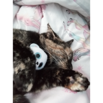 Bone and Lola