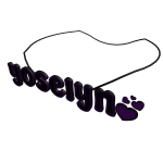 yoselyn necklace 1.0