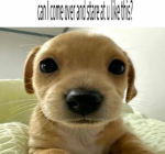 STUMPYYY
