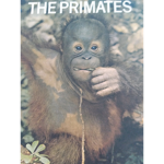 Monkeys and apes:)