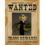 PEOPLE WANTED