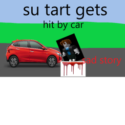 Sutart gets hit by car