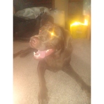 DOT :)