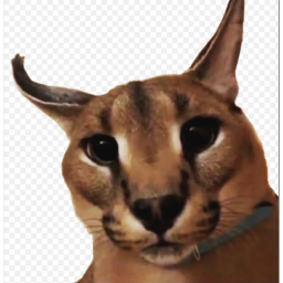 Mega Fun Obby