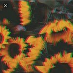 Hxney Aestheticz