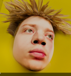 pet boy