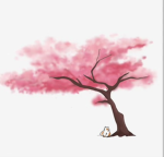 | . Sakura’s Scratch . | wcue