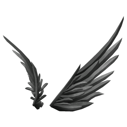 Black Interstellar Wings