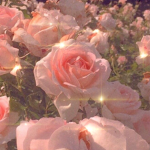 -flower clan-