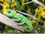 Reptile Rulers!