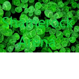 Shamrock Arena icon