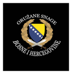 [OSBiH] Oružane Snage BiH