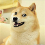Cute Doge Studios