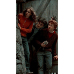 |harry potter trio|