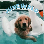 Juneworld