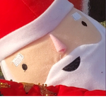 Derpy santa
