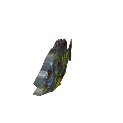 green sunfish