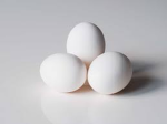 the real egg fan group <3