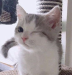 レ・ヘ・マa