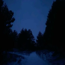ᅠᅠᅠᅠ🌀