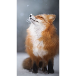 Nice/kind/ group pls join