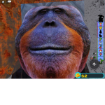 Monkeys0625