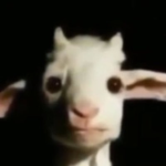 robuc to alt rq