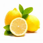 LemonSlice Studios