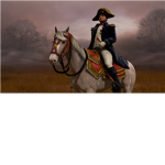 Napoleonic Army