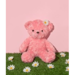 ~flxralbears~