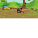 Sunnyside ranch